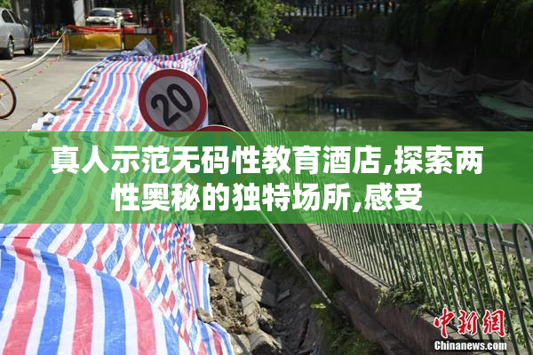 真人示范无码性教育酒店,探索两性奥秘的独特场所,感受