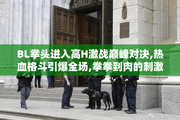 BL拳头进入高H激战巅峰对决,热血格斗引爆全场,拳拳到肉的刺激对决