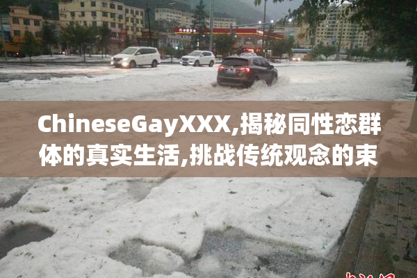 ChineseGayXXX,揭秘同性恋群体的真实生活,挑战传统观念的束缚