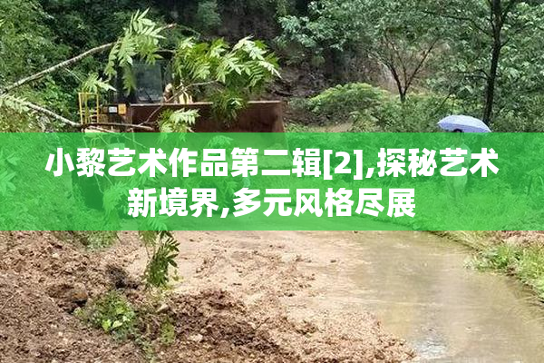 小黎艺术作品第二辑[2],探秘艺术新境界,多元风格尽展