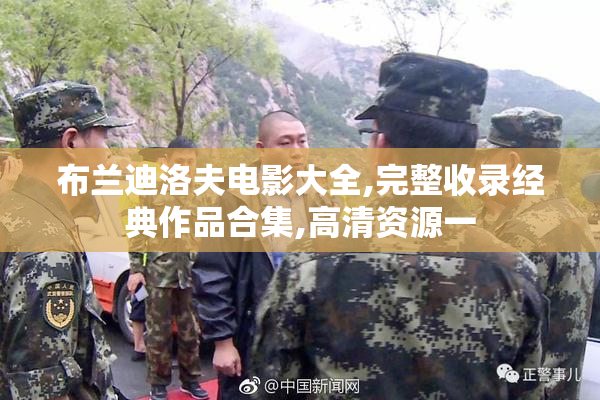 布兰迪洛夫电影大全,完整收录经典作品合集,高清资源一