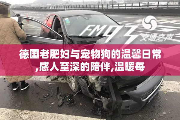 德国老肥妇与宠物狗的温馨日常,感人至深的陪伴,温暖每
