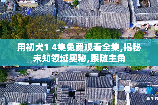 用初犬1 4集免费观看全集,揭秘未知领域奥秘,跟随主角
