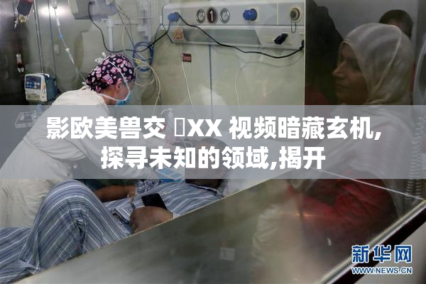 影欧美兽交 乂XX 视频暗藏玄机,探寻未知的领域,揭开