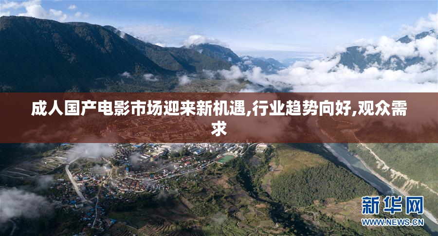 成人国产电影市场迎来新机遇,行业趋势向好,观众需求