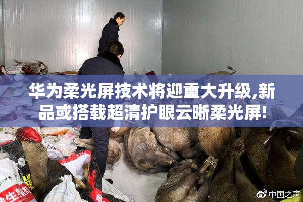 华为柔光屏技术将迎重大升级,新品或搭载超清护眼云晰柔光屏!