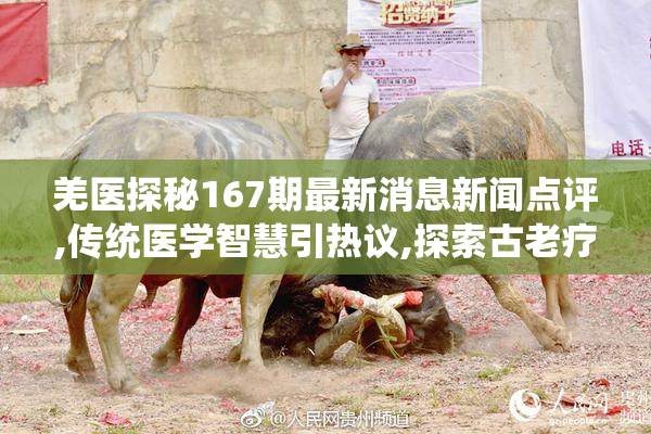 羌医探秘167期最新消息新闻点评,传统医学智慧引热议,探索古老疗法
