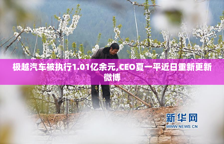 极越汽车被执行1.01亿余元,CEO夏一平近日重新更新微博