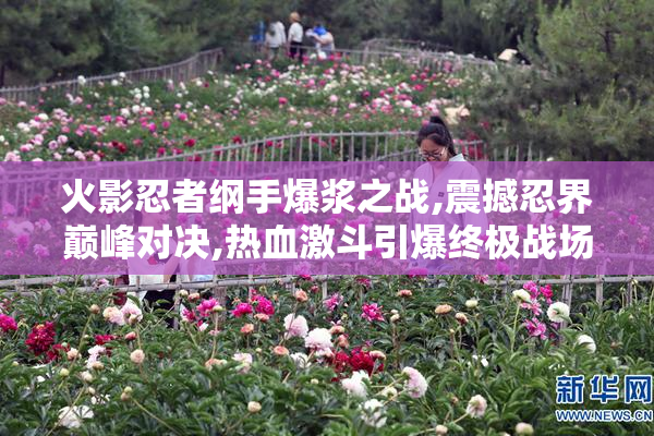 火影忍者纲手爆浆之战,震撼忍界巅峰对决,热血激斗引爆终极战场