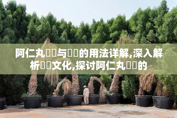 阿仁丸戦隊与戦隊的用法详解,深入解析戦隊文化,探讨阿仁丸戦隊的