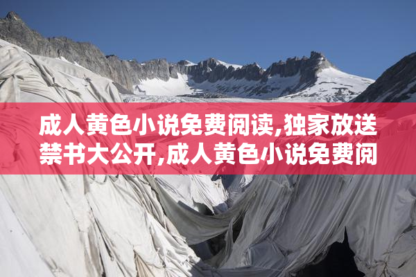成人黄色小说免费阅读,独家放送禁书大公开,成人黄色小说免费阅读