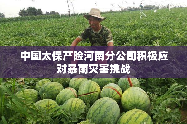 中国太保产险河南分公司积极应对暴雨灾害挑战