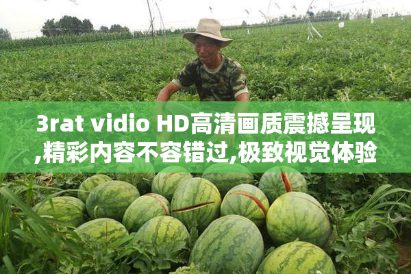 3rat vidio HD高清画质震撼呈现,精彩内容不容错过,极致视觉体验等
