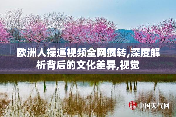 欧洲人操逼视频全网疯转,深度解析背后的文化差异,视觉