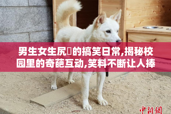 男生女生尻屄的搞笑日常,揭秘校园里的奇葩互动,笑料不断让人捧腹