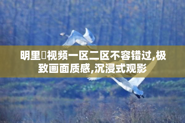 明里紬视频一区二区不容错过,极致画面质感,沉浸式观影
