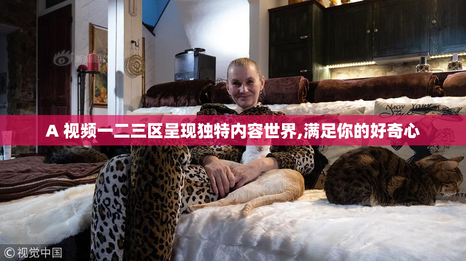 A 视频一二三区呈现独特内容世界,满足你的好奇心