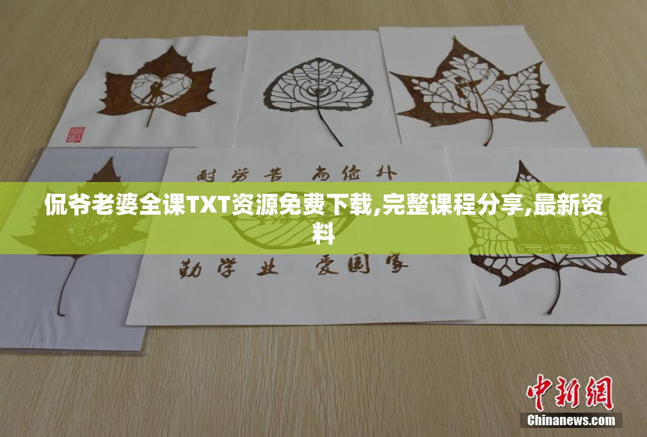 侃爷老婆全课TXT资源免费下载,完整课程分享,最新资料