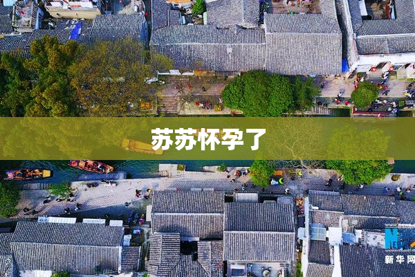 苏苏怀孕了
