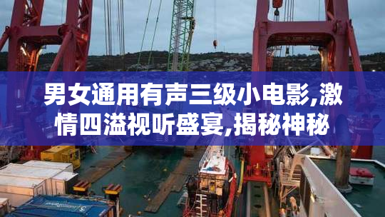 男女通用有声三级小电影,激情四溢视听盛宴,揭秘神秘