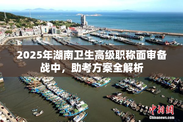 2025年湖南卫生高级职称面审备战中，助考方案全解析