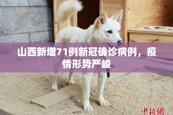 山西新增71例新冠确诊病例，疫情形势严峻