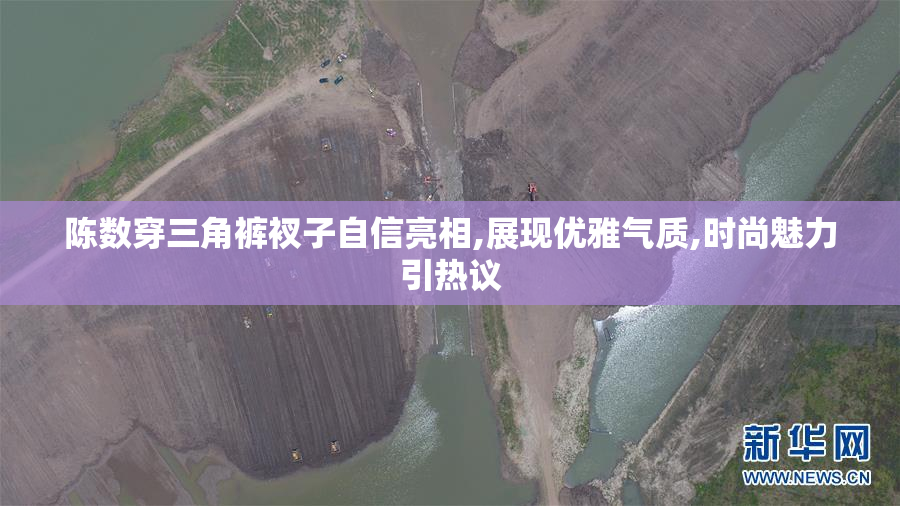 陈数穿三角裤衩子自信亮相,展现优雅气质,时尚魅力引热议