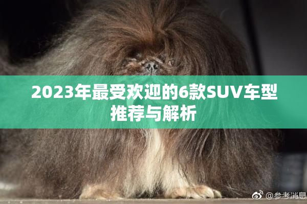 2023年最受欢迎的6款SUV车型推荐与解析