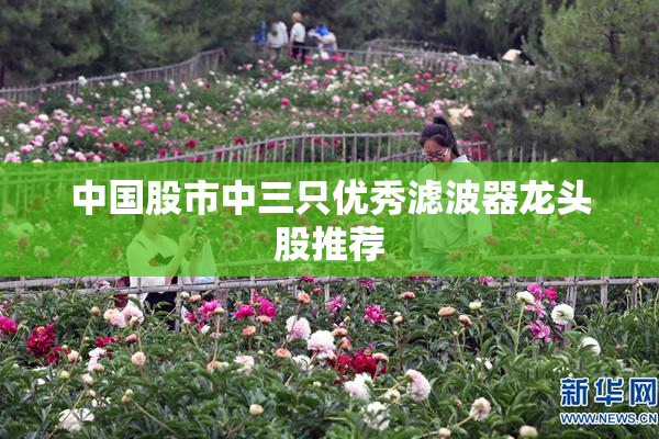中国股市中三只优秀滤波器龙头股推荐