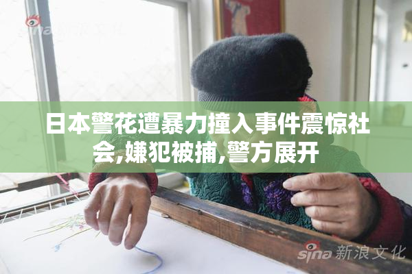 日本警花遭暴力撞入事件震惊社会,嫌犯被捕,警方展开