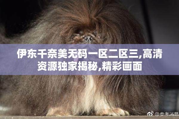 伊东千奈美无码一区二区三,高清资源独家揭秘,精彩画面