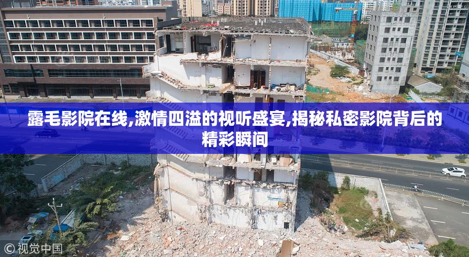 露毛影院在线,激情四溢的视听盛宴,揭秘私密影院背后的精彩瞬间
