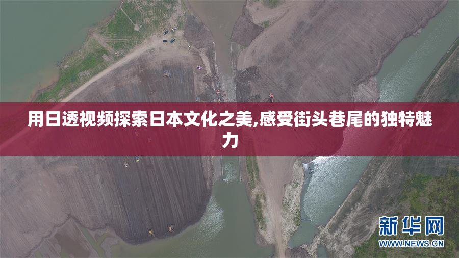 用日透视频探索日本文化之美,感受街头巷尾的独特魅力
