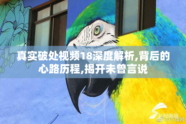 真实破处视频18深度解析,背后的心路历程,揭开未曾言说