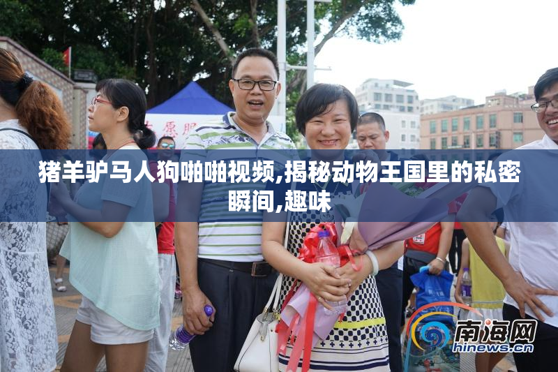 猪羊驴马人狗啪啪视频,揭秘动物王国里的私密瞬间,趣味