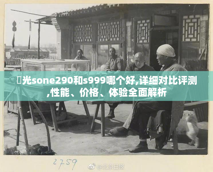 凪光sone290和s999哪个好,详细对比评测,性能、价格、体验全面解析