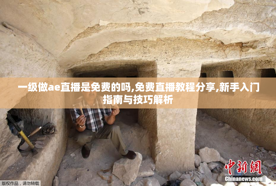一级做ae直播是免费的吗,免费直播教程分享,新手入门指南与技巧解析