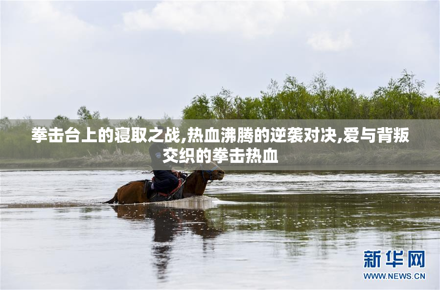 拳击台上的寝取之战,热血沸腾的逆袭对决,爱与背叛交织的拳击热血