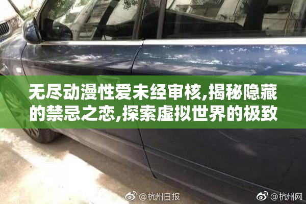 无尽动漫性爱未经审核,揭秘隐藏的禁忌之恋,探索虚拟世界的极致