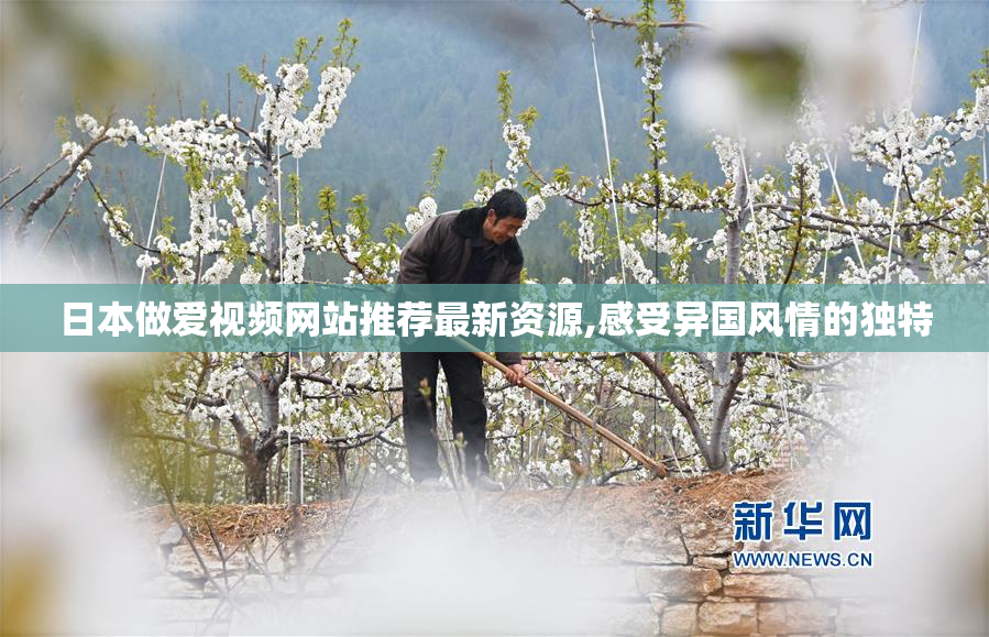 日本做爱视频网站推荐最新资源,感受异国风情的独特