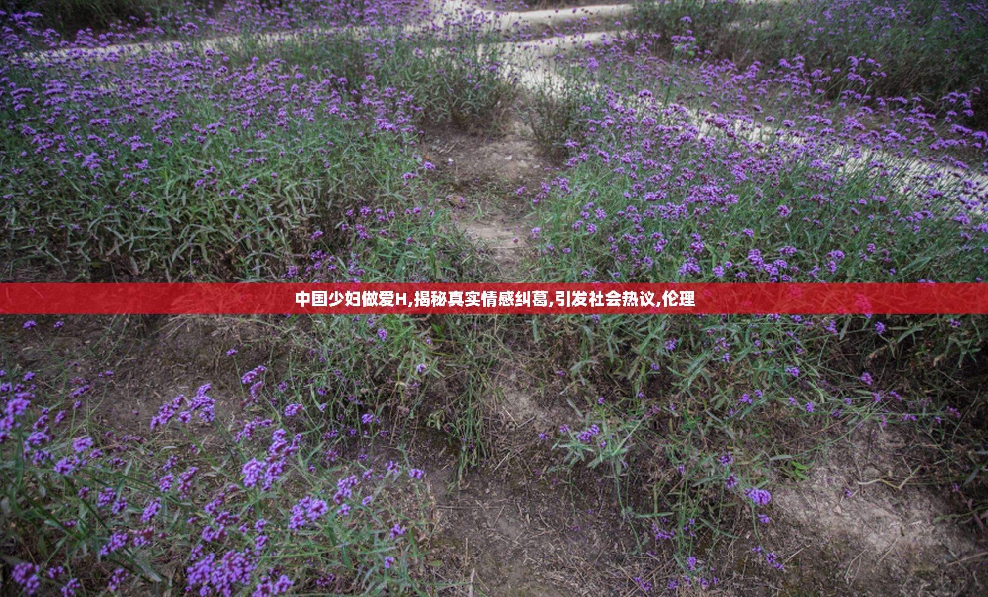中国少妇做爱H,揭秘真实情感纠葛,引发社会热议,伦理