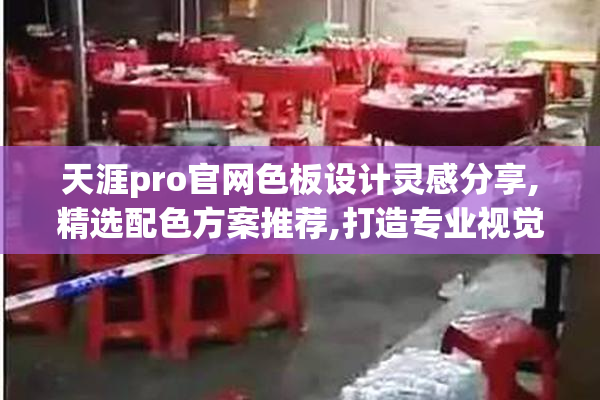 天涯pro官网色板设计灵感分享,精选配色方案推荐,打造专业视觉风格