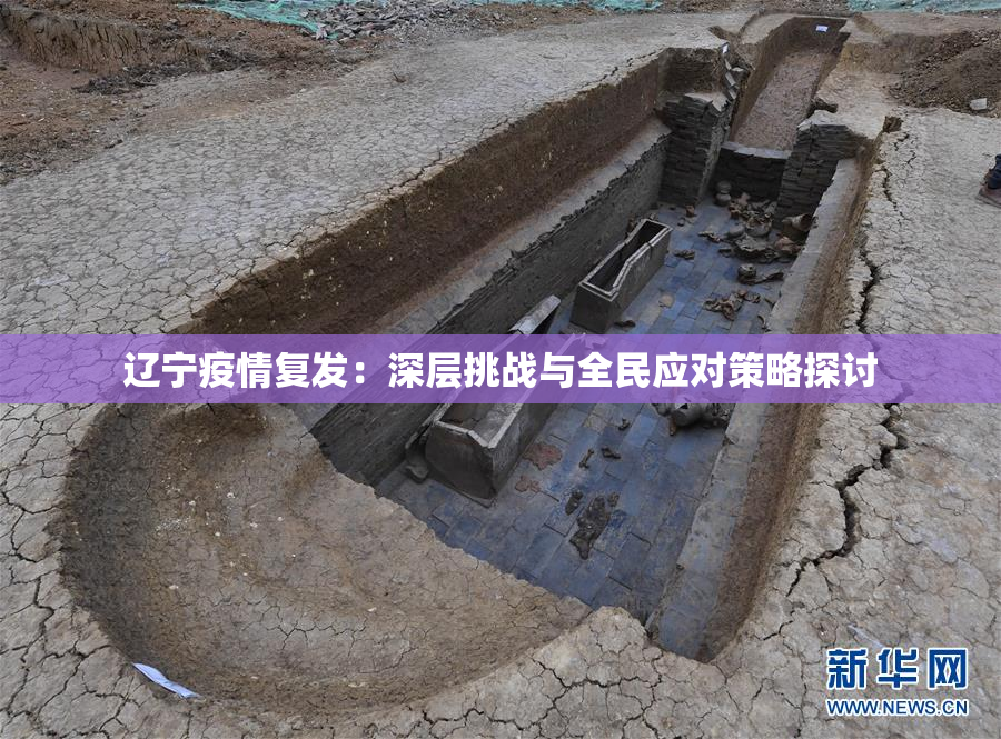 辽宁疫情复发：深层挑战与全民应对策略探讨
