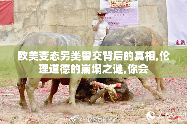 欧美变态另类兽交背后的真相,伦理道德的崩塌之谜,你会
