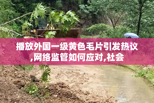 播放外国一级黄色毛片引发热议,网络监管如何应对,社会
