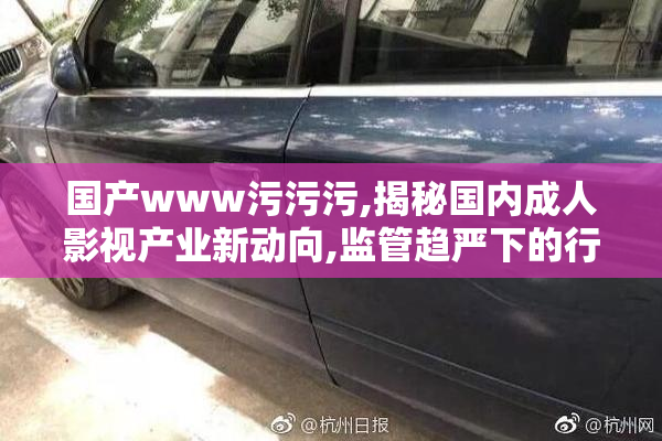 国产www污污污,揭秘国内成人影视产业新动向,监管趋严下的行业
