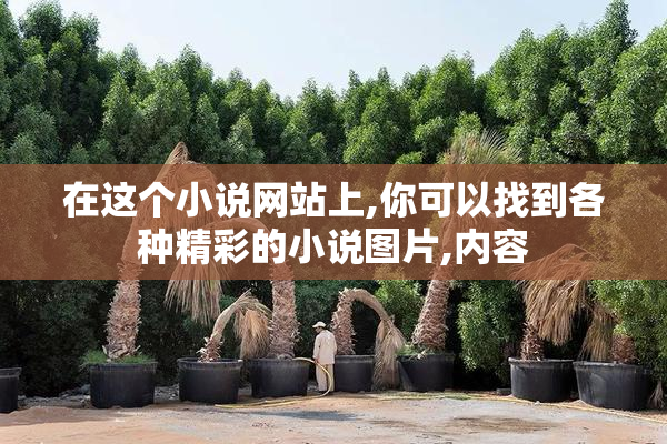 在这个小说网站上,你可以找到各种精彩的小说图片,内容