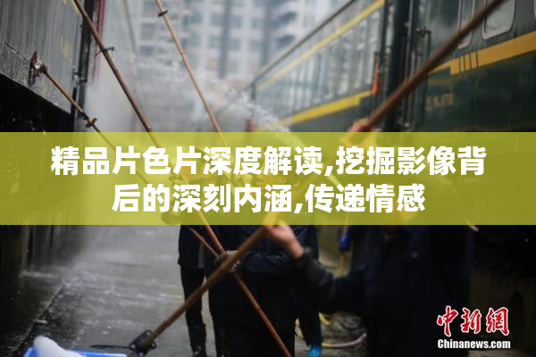 精品片色片深度解读,挖掘影像背后的深刻内涵,传递情感