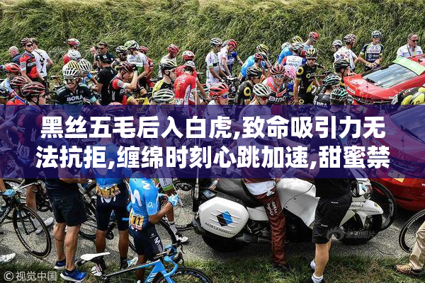 黑丝五毛后入白虎,致命吸引力无法抗拒,缠绵时刻心跳加速,甜蜜禁忌