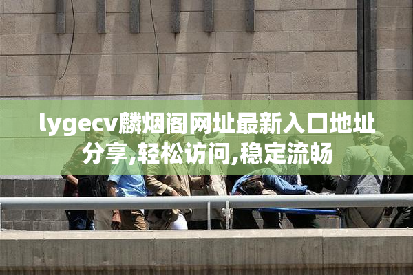 lygecv麟烟阁网址最新入口地址分享,轻松访问,稳定流畅